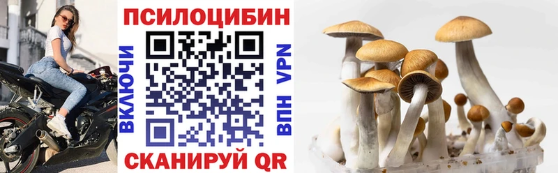 Галлюциногенные грибы мухоморы Переславль-Залесский